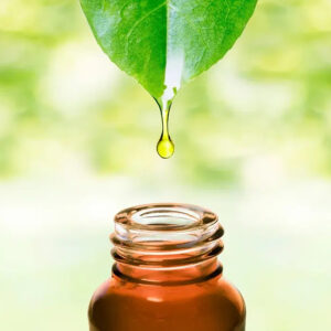 Essential Oils
