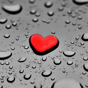 Love Drops