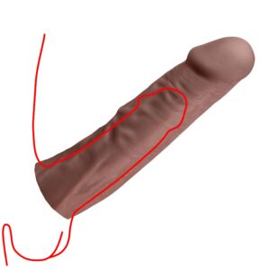 Penis Extensions