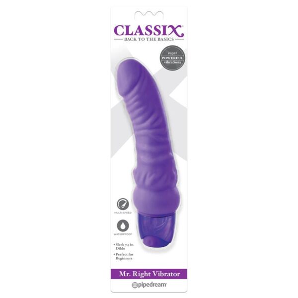 Vibe Mr. Right Purple - Image 2