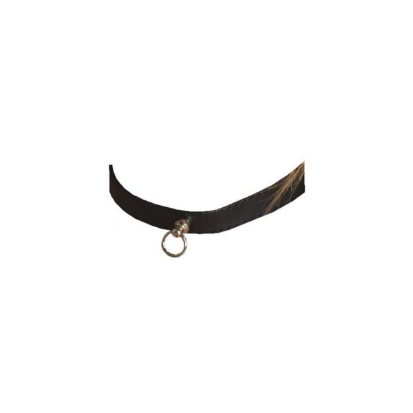 Collar-Adjustable - Image 2