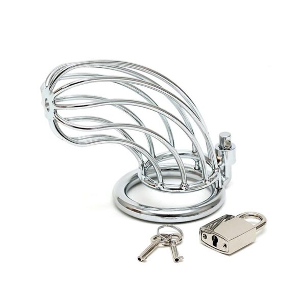 Chastity with padlock, metal - Image 2