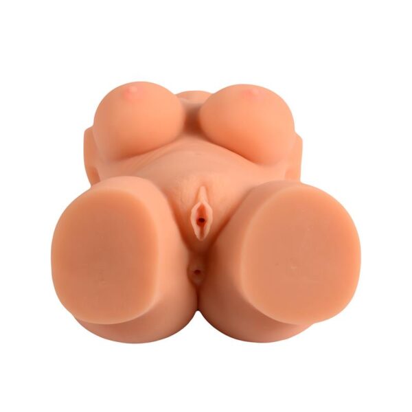 Superior Torso Emma - Image 4