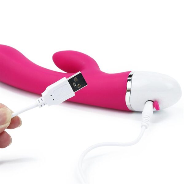 Vibe Dreamer USB Rose Red - Image 6