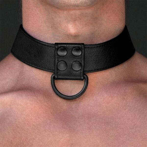 Collar with Leash Black Matt - Image 4