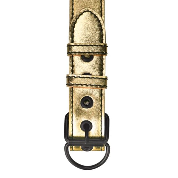 Collar with Leash Bondage Gold - Image 3