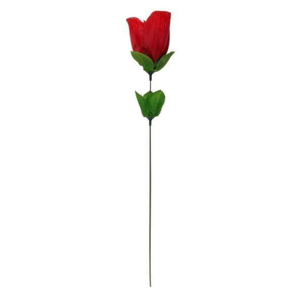 Rose with Red G-string - Image 2