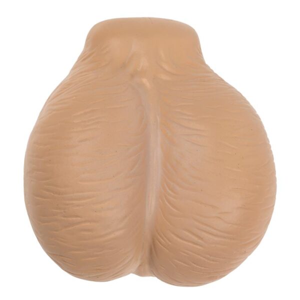 Squeeze Sexy Display 12 Pieces Assorted - Image 4
