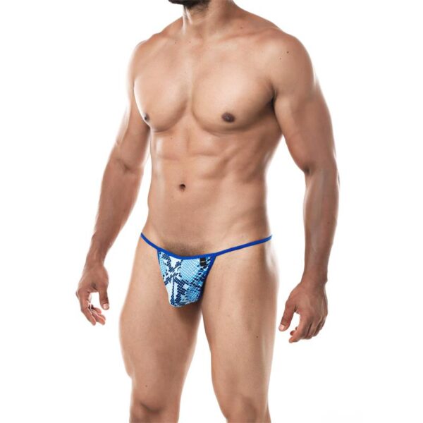 G-String Provocative Snake