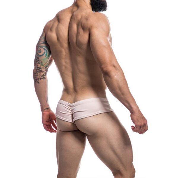 Cheeky Brief Provocative Nude - Image 2