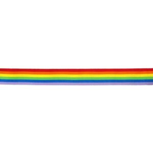 Band LGBT+ Colors