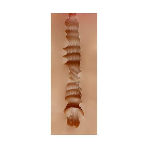 Male Masturbator Vagina Judith Skin - Image 4