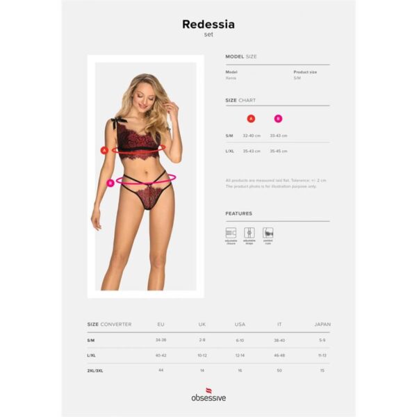 Redessia 2 Piece Lace Bra Set - Image 5