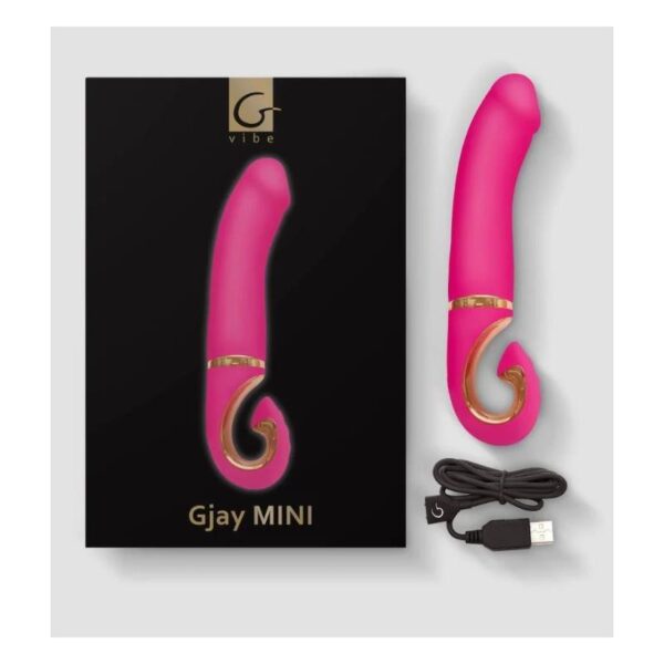 Vibe Gjay Mini Wildberry - Image 7