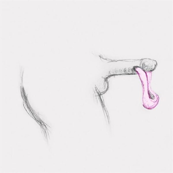 Gvibe Mini Stimulator Tiffany Mint - Image 7