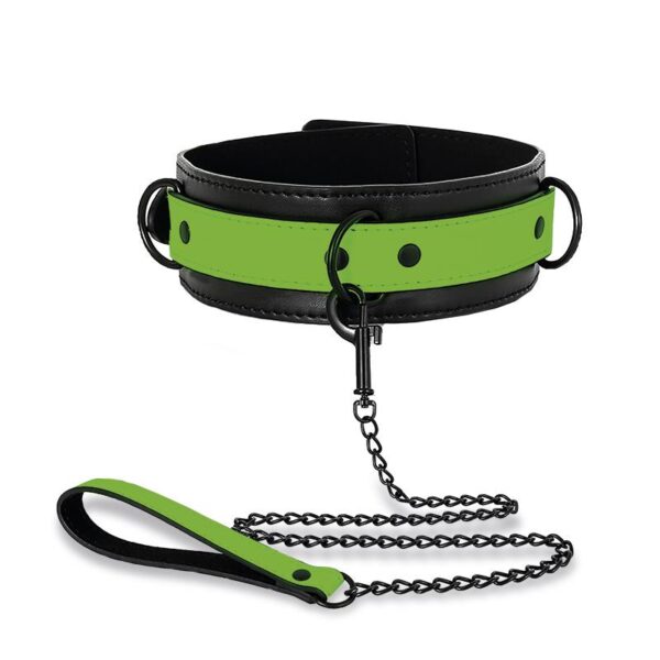 Glow in the Dark Collar with Leash - Image 3