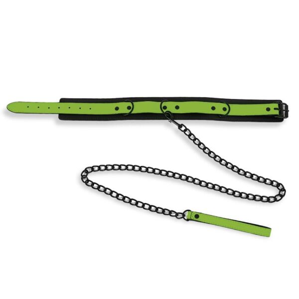 Glow in the Dark Collar with Leash - Image 5