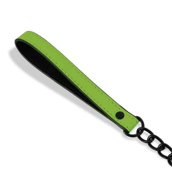 Glow in the Dark Collar with Leash - Image 8