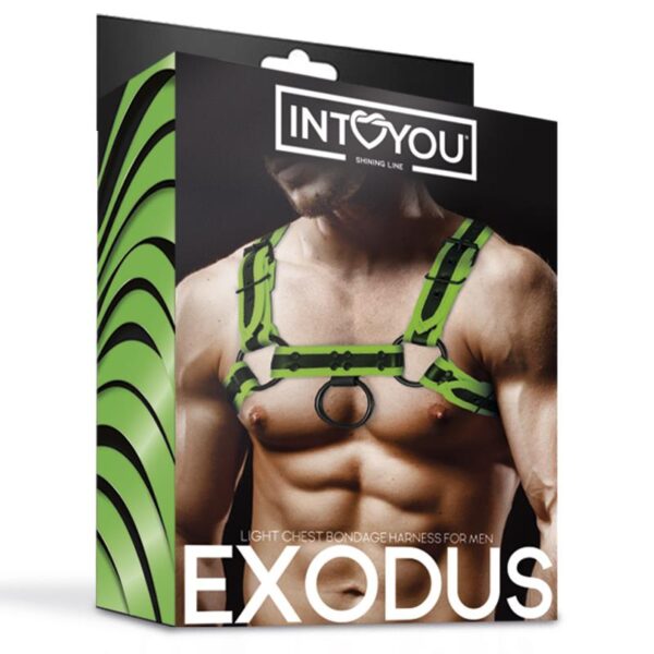 Glow in the Dark Bondage Chest Harness - Image 6