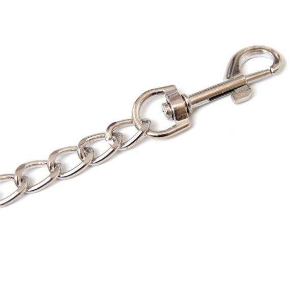 Metal Chain Leash - Image 2