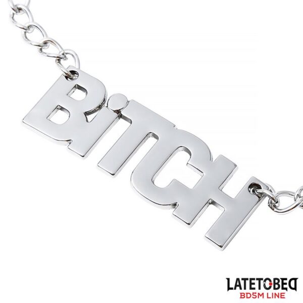 Nipple clamps with Chain  - Bitch - Image 2
