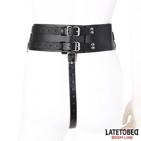 Adjustable Female Chastity Belt - Image 4