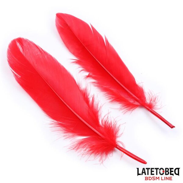 3 Pieces Bondage Set Cuffs, Eye Mask and Feathers - Image 4