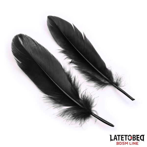3 Pieces Set Mask, Handcuffs and Feathers Black - Image 5
