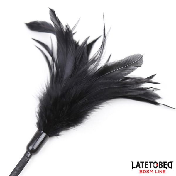Multi Feathers Tickler and Lace Ribbon Paddle Comb - Image 3