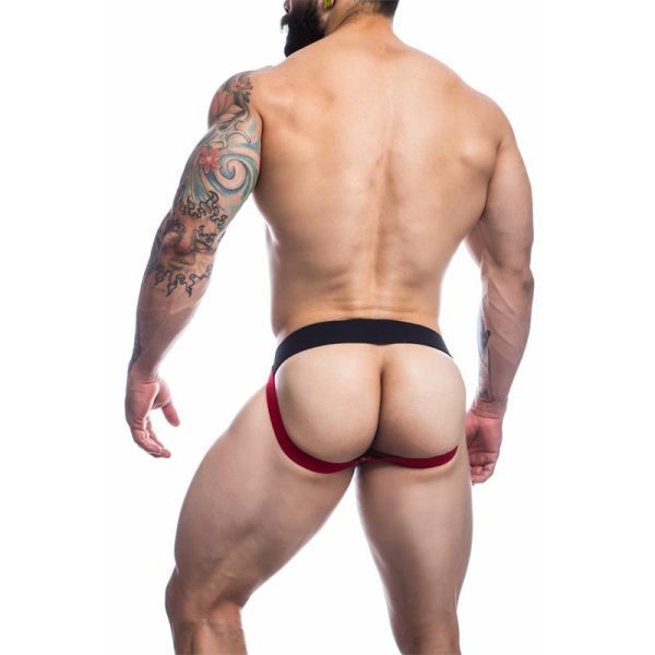 Stripe-Pride Jockstrap Pride Flag - Image 2