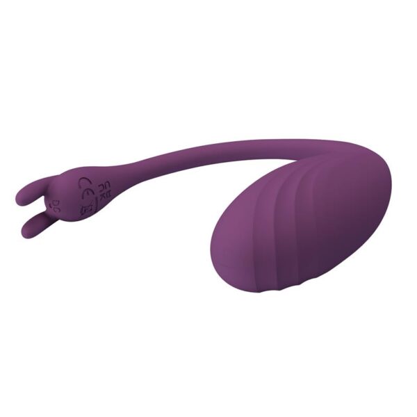Catalina Vibrating Egg with APP Purple - Image 6