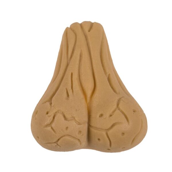Growing Testicle 4x3 cm - Image 2
