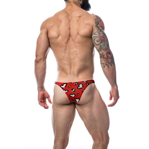 C4M11 Brazilianbrief Hearts - Image 2