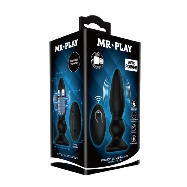 Vibrating Butt Plug with Remote - Image 5