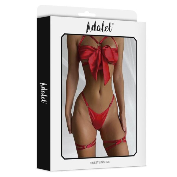 Riley Bra with Bow, Thong, and Garters Set - Image 4
