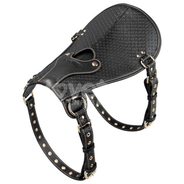 Rebellion Reign Dildo Saddle - Image 2