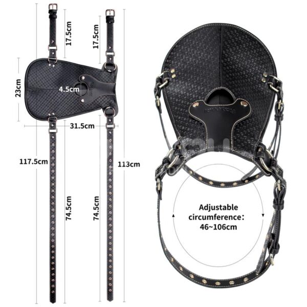 Rebellion Reign Dildo Saddle - Image 12