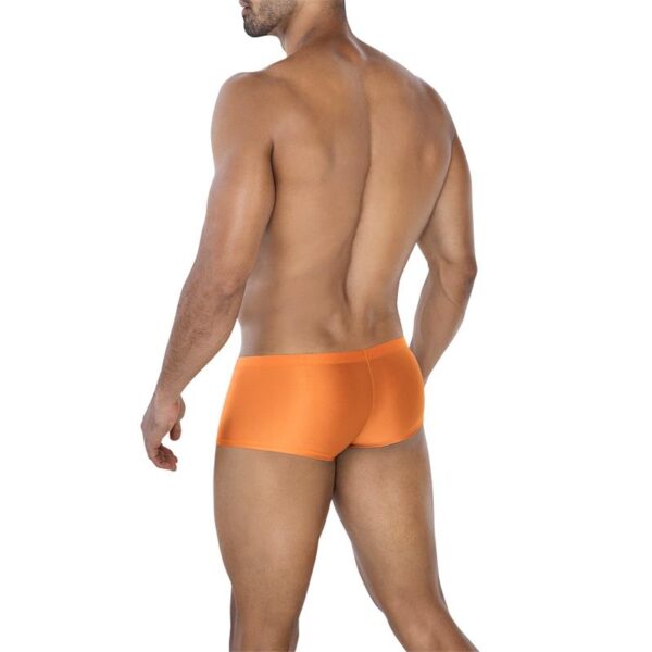 C4MSPX13 Hipster Brief Copper Spring - Image 2