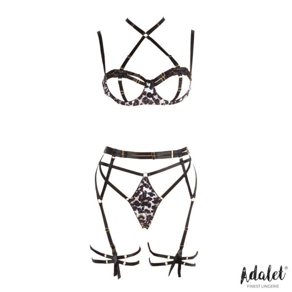 Lily Bra, Thong, Garter Belt, and Leopard Print Garters Set - Image 3