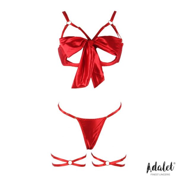 Riley Bra with Bow, Thong, and Garters Set - Image 3