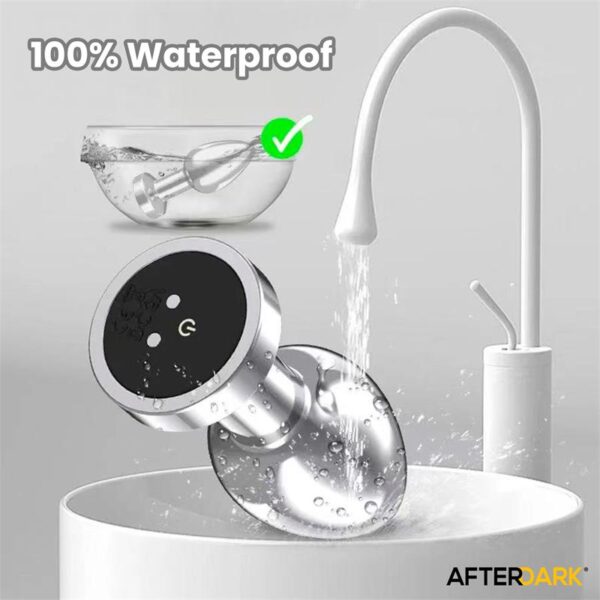 Dimpor Chrome Anal Plug with Vibration and Magnetic USB Size L - Image 10
