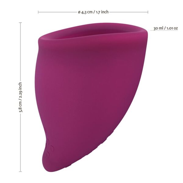 Fun Cup Mentrual Cup Size B Grape - Image 3