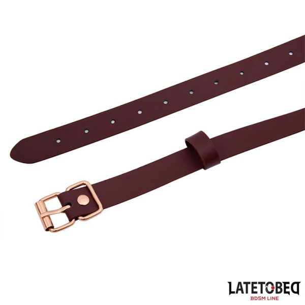 Leather O Ring Gag - Image 5