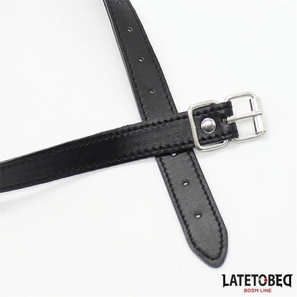 Hollow Hard Ball Gag - Image 4