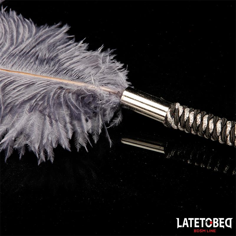 Ostrich Feather 44 cm - Image 3