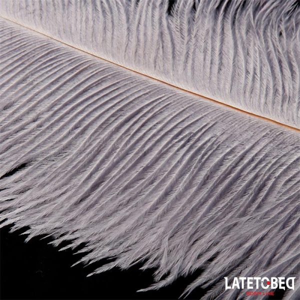 Ostrich Feather 44 cm - Image 4