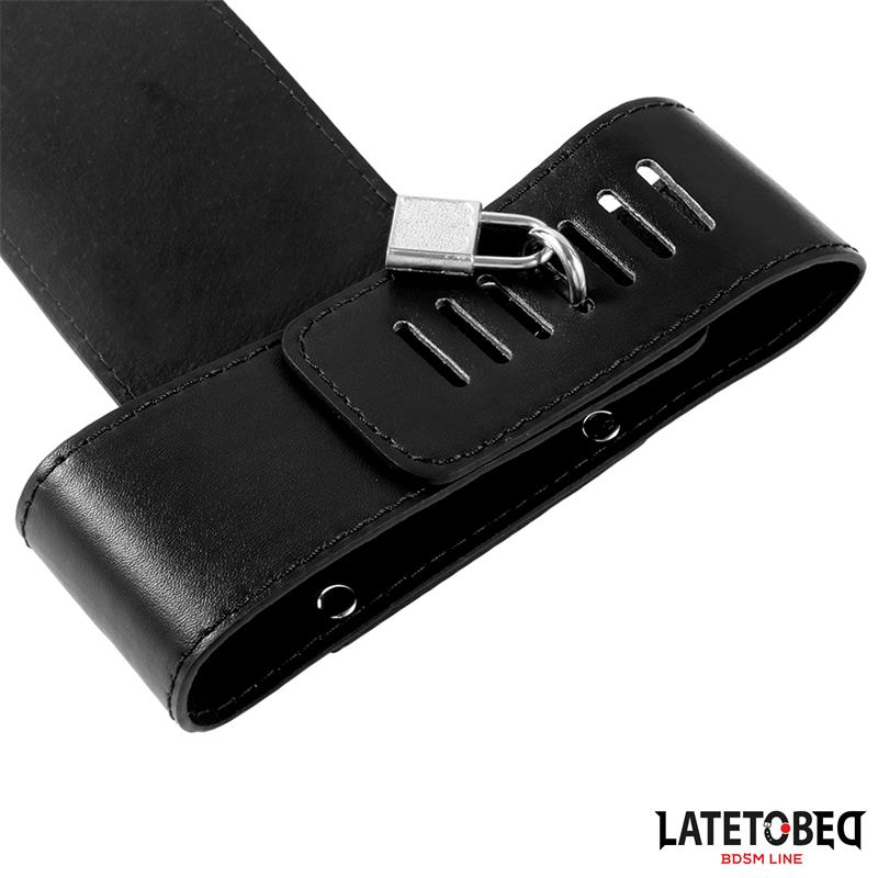 Behind Back Harness Adjustable - Image 4