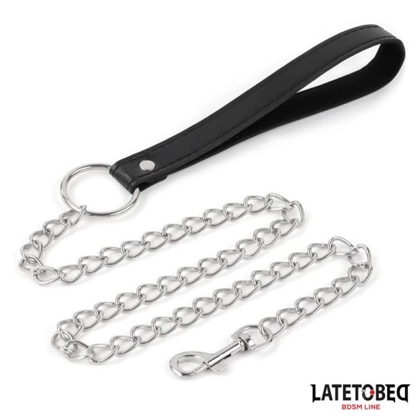 Collar with Bell and Leash - Image 4