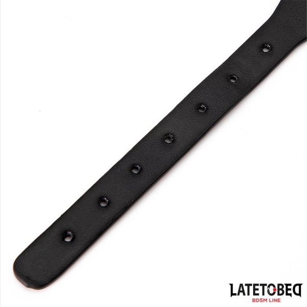 Collar with Bell and Leash - Image 6