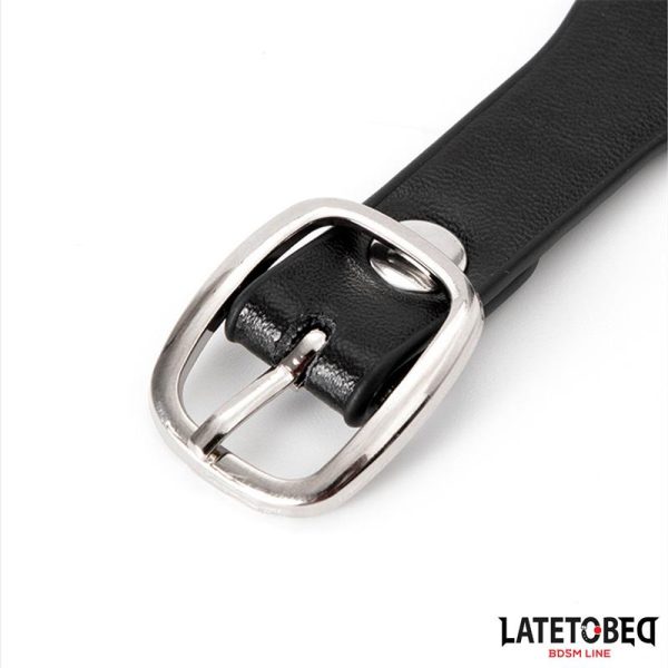 Collar with Bell and Leash - Image 7